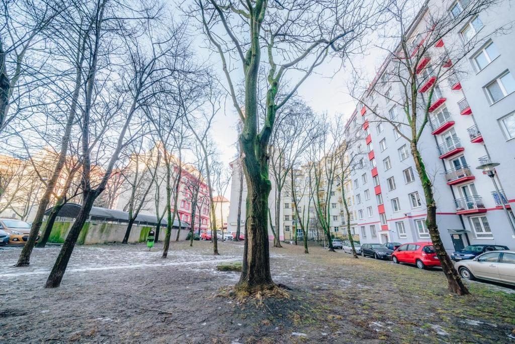 Apartmán White Apartment, Kraskova 2, *